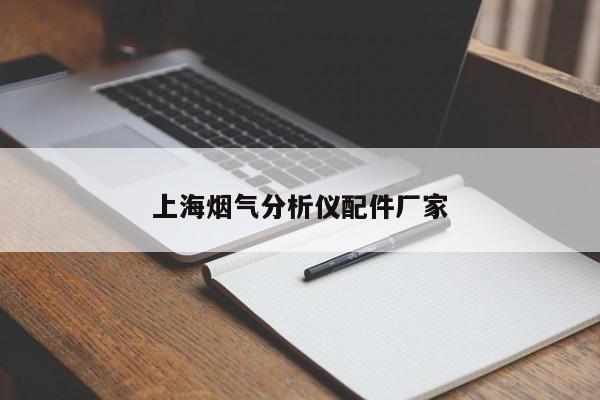 上海煙氣分析儀配件廠家