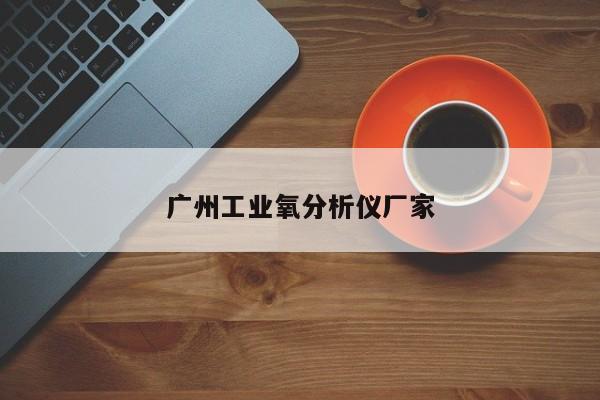廣州工業(yè)氧分析儀廠家