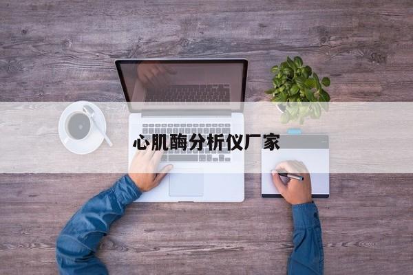 心肌酶分析儀廠家