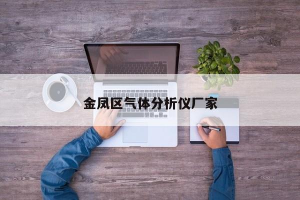 金鳳區(qū)氣體分析儀廠家