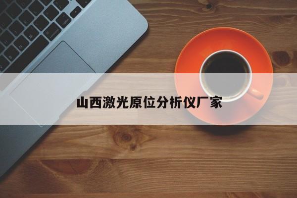 山西激光原位分析儀廠家